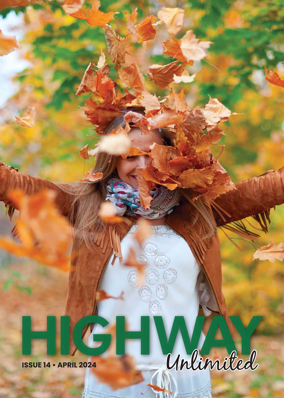 Highway Unlimited Poster Photo