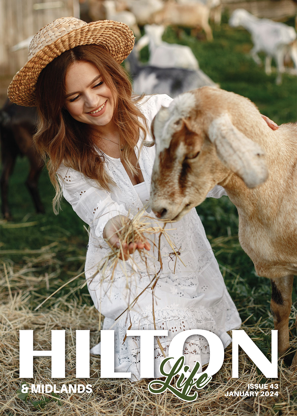 Hilton Life Poster Photo