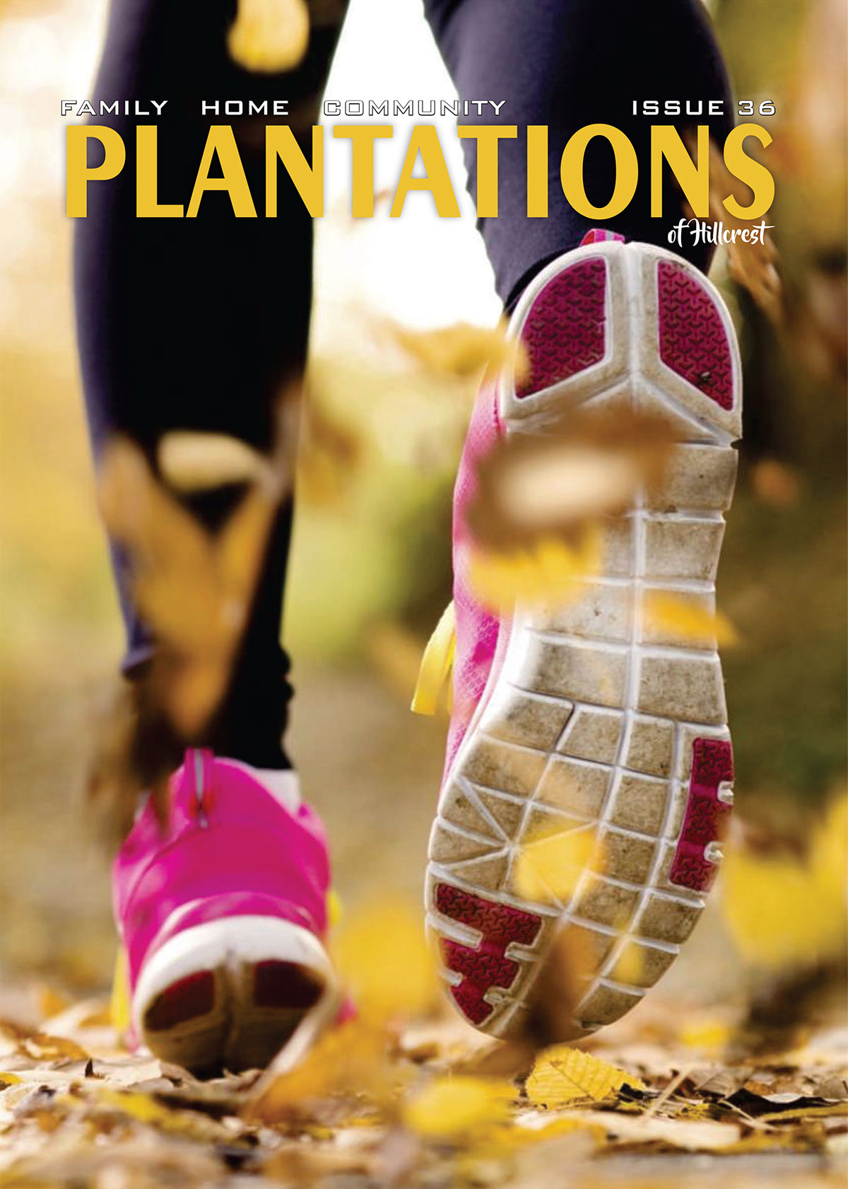 Plantations Poster Photo